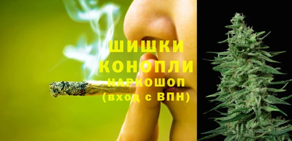 дмт Тутаев